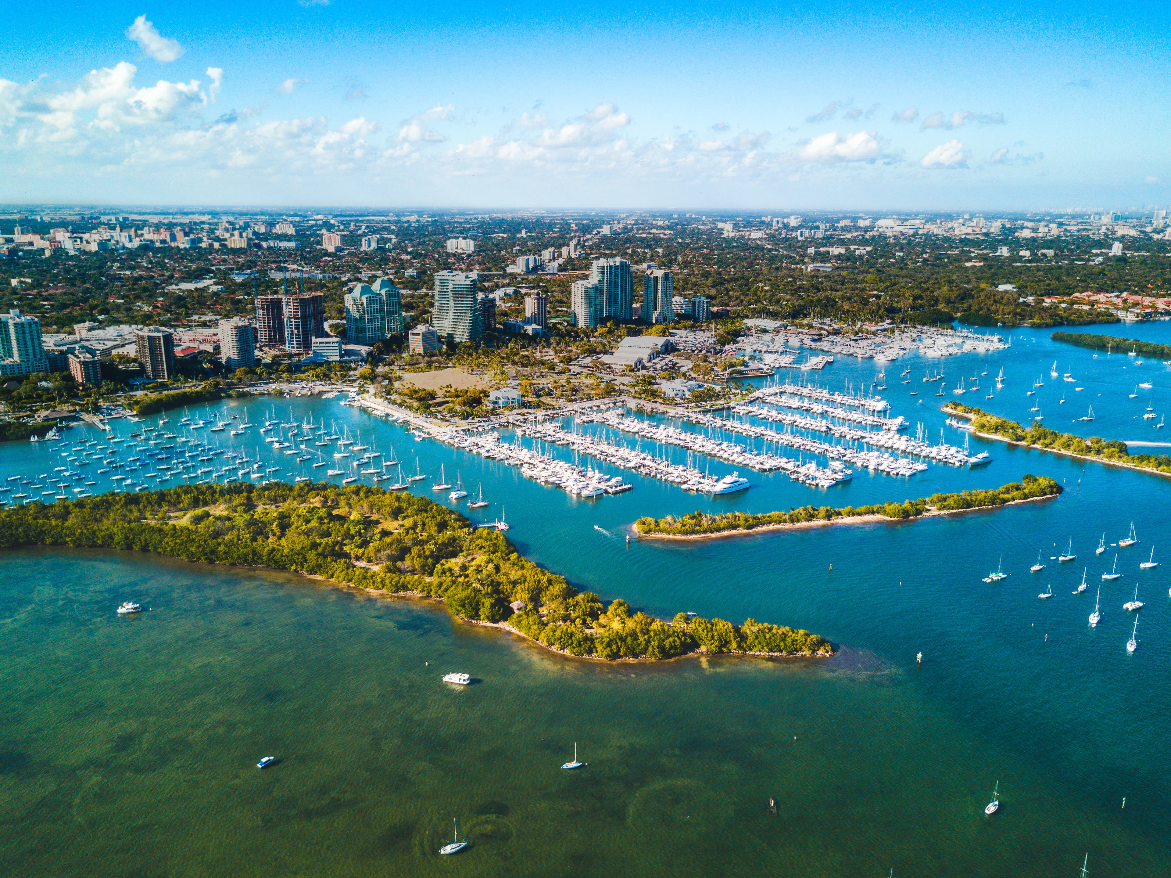 Coconut Grove area